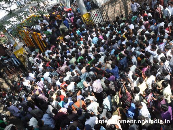 Fans Crowd