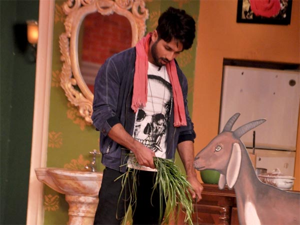 Shahid Kapoor