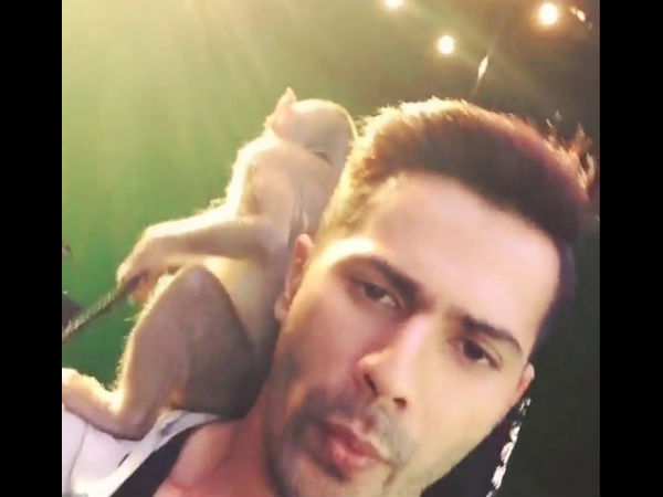 Varun Dhawan's Whistling Command
